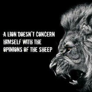 Meet your Posher, Marcos